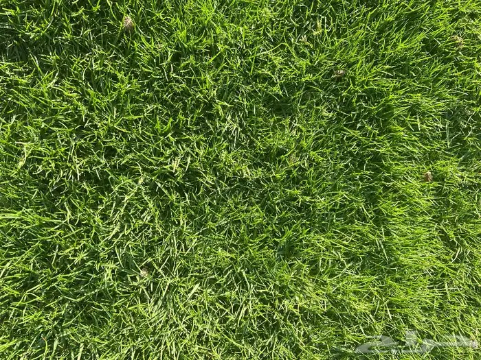 ثيل سي الفين درجه اولى 9
