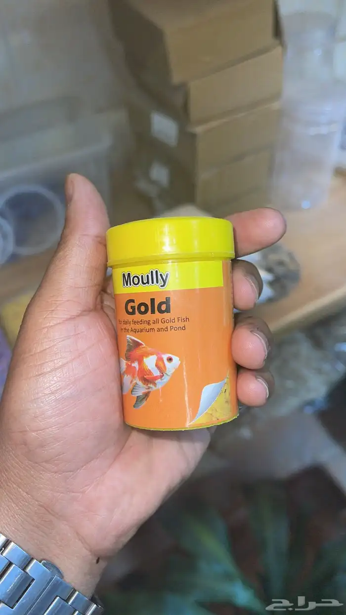 اسماك زينة 20