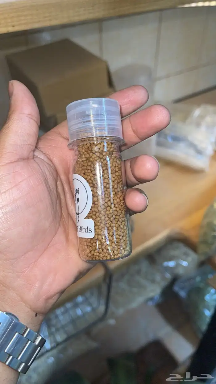 اسماك زينة 19