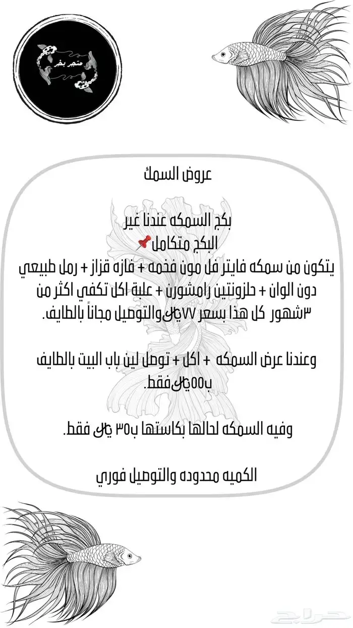 انثى فايتر 1