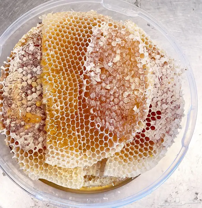 عسل سمره وسدر وطلح وقرضه 5