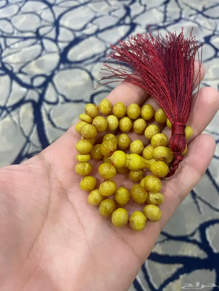 سبح للبيع النوع سندلوس 6