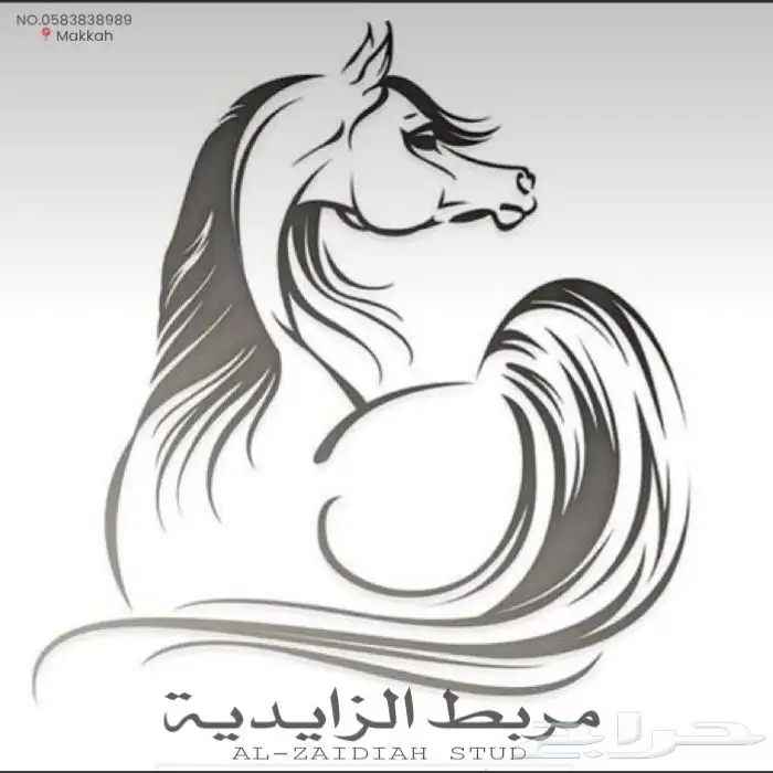 غرف خيل للايجار مربط الزايدية 14