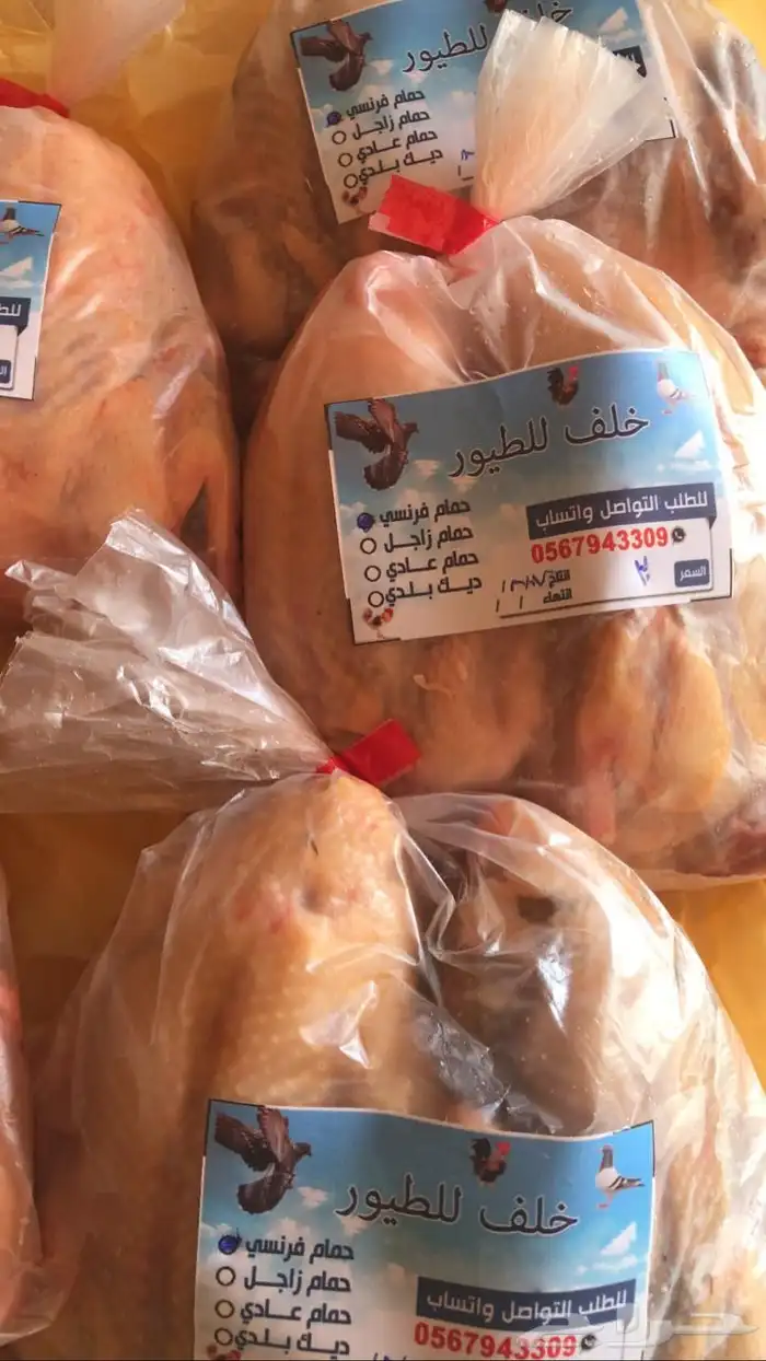فراخة حمام بلدي وزاجل وفرنسي 6