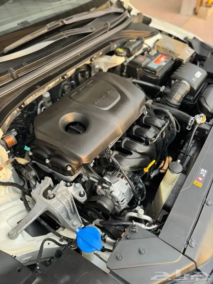 النترا 2019 ستاندر (تم البيع ) 33