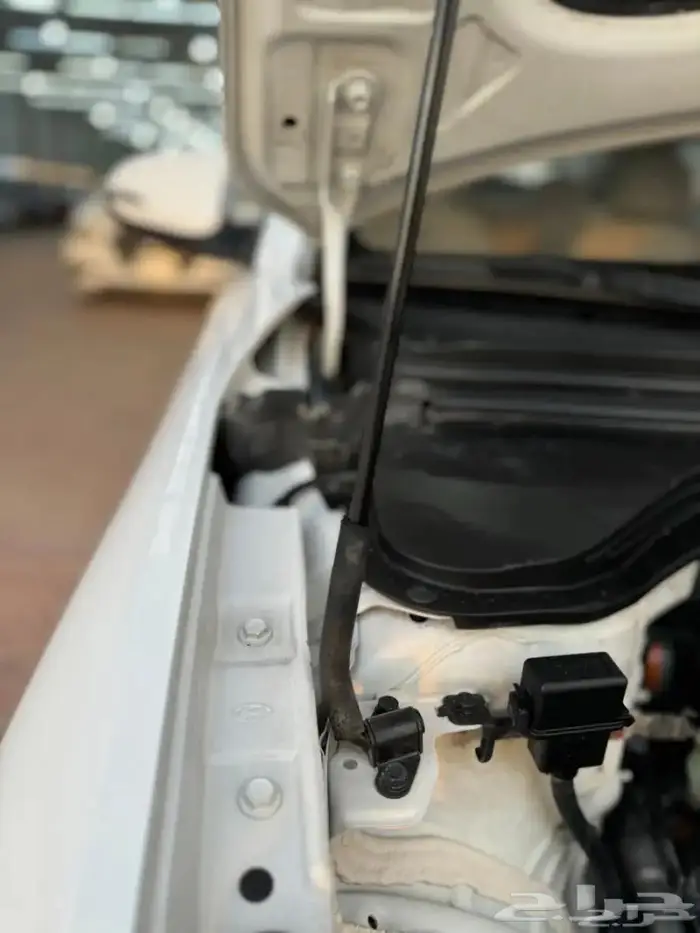 النترا 2019 ستاندر (تم البيع ) 19