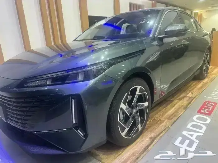 ايدو 2025 5