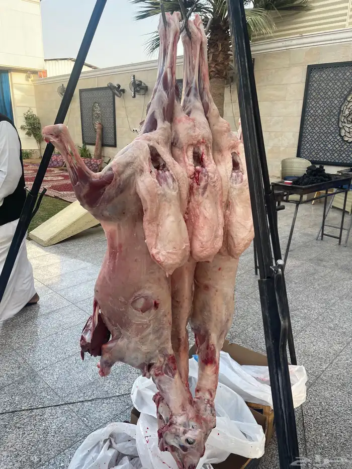 معلم مشويات 0