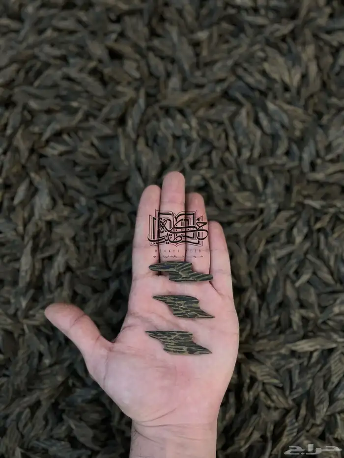 عود كمبودي تايقر طبيعي محسن فاخر (جمله) للمتاجر 2