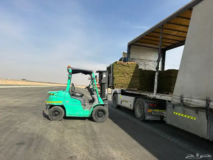 تأجير رافعه شوكيه فوركلفت سكينه شوكه مع السطحه بالمشوار 4