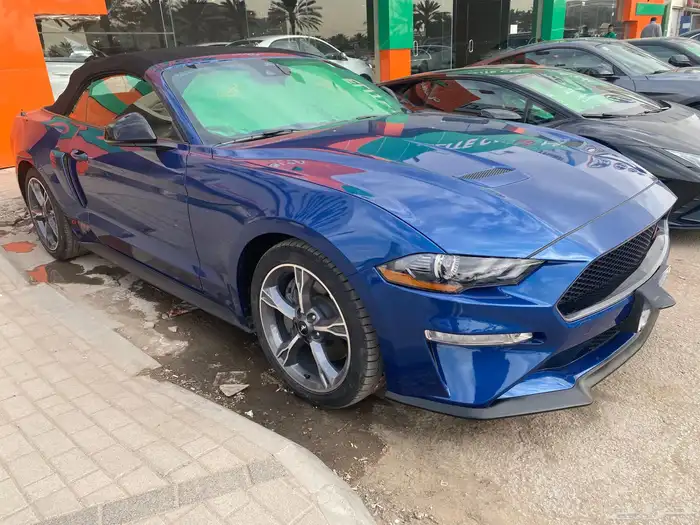 موستنج للايجار كشف 2