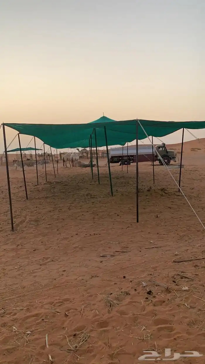 مظلات الغنم والإبل 9