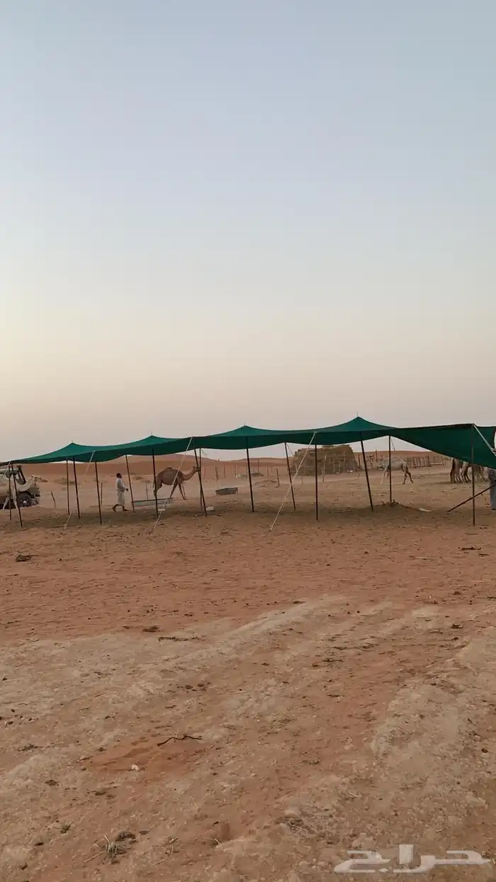 مظلات الغنم والإبل 8