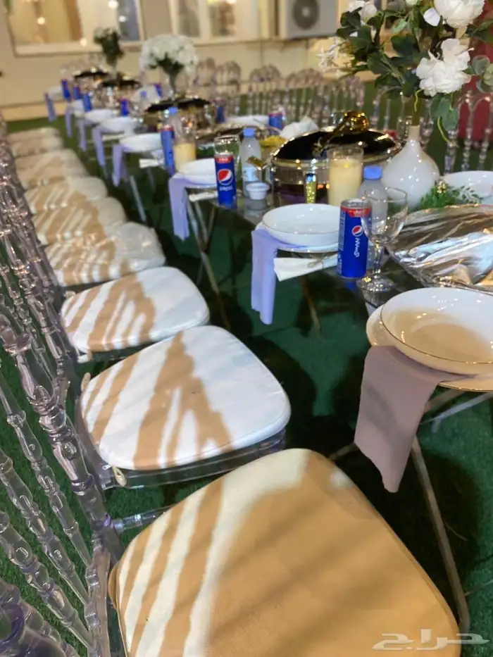 استراحة المهرة الفضية 1