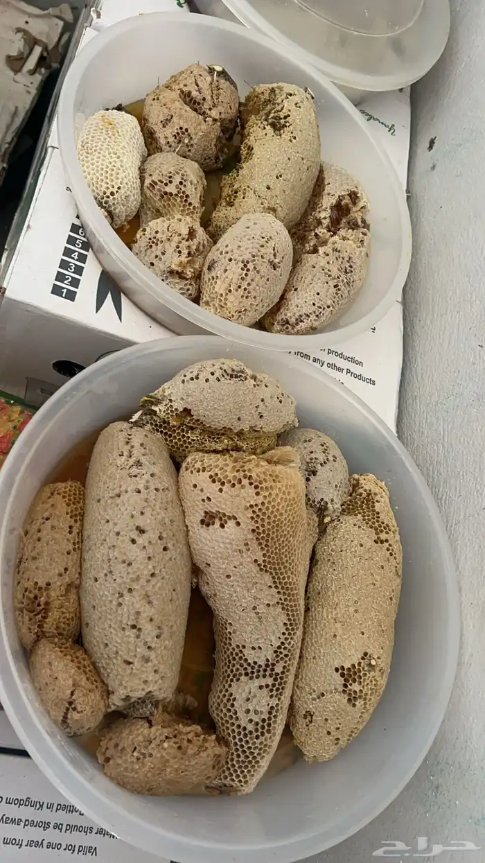 عسل سدر وسمره مضمون 1