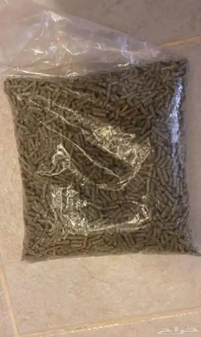 ارنب أليف 4