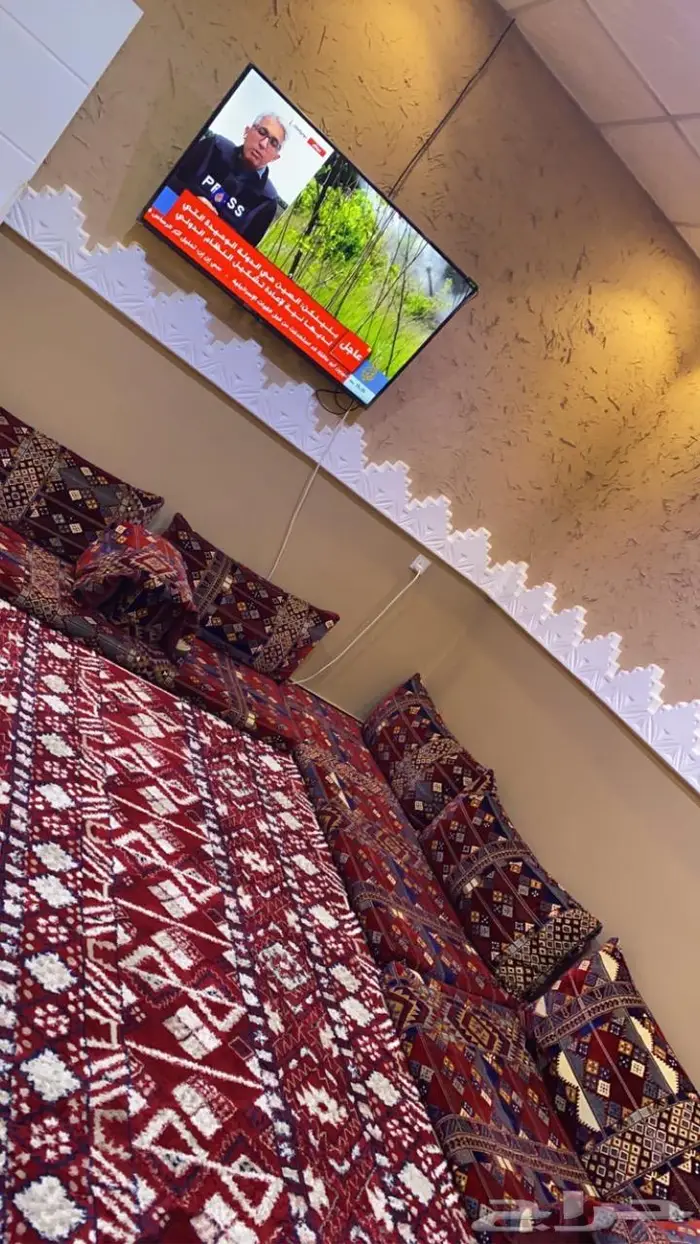 خاص استراحه قسمين ومقلط ومسبح كبير بسخان 14