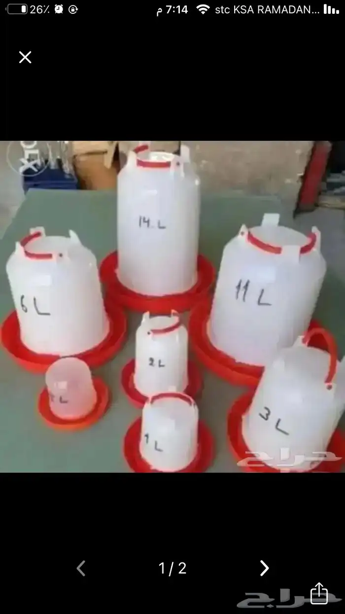 مستلزمات طيور للبيع 16