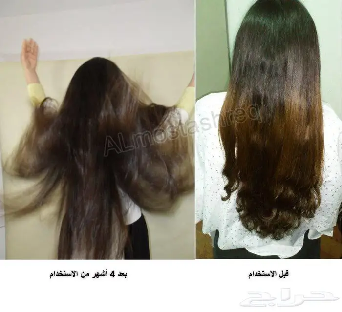 الزيت الاصلي من الوكيل الحصري المستشرق 3