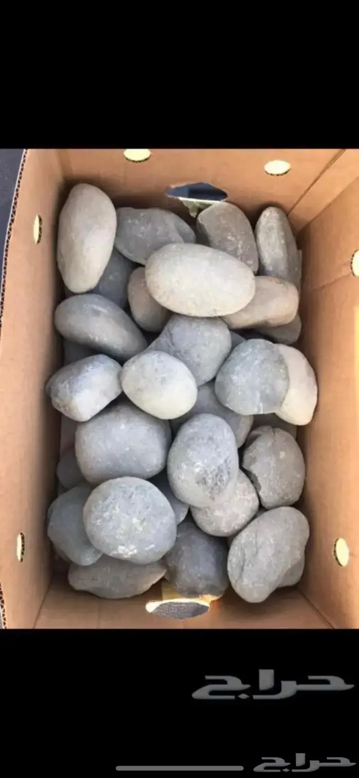 حجر مظبي مرخ وسلع حجر مرو 4