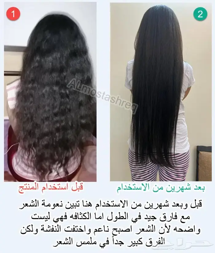 الزيت الاصلي من الوكيل الحصري المستشرق 16