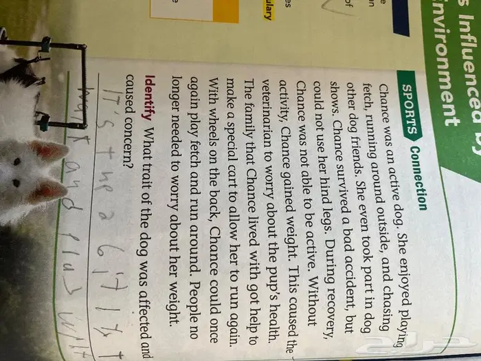 معلمة انجليزي جنوب جدة 4