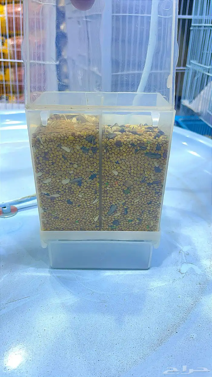 معلف اقتصادي يركب داخلي خارجي 1