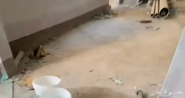 عسيب دهانات الجزيرة جوتن 0