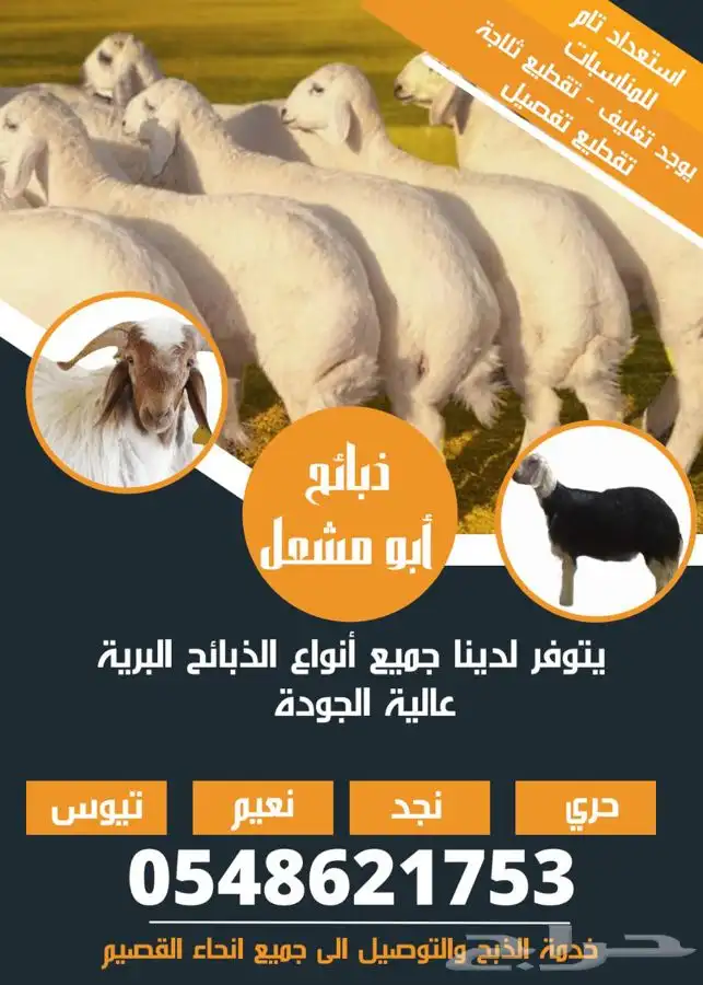 ذبايح القصيم 1