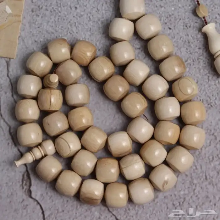 قطعة فريدة من عاج الماموث المنقرض 2