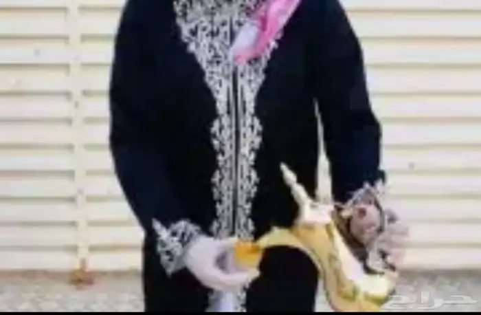 إيجار خيام 1