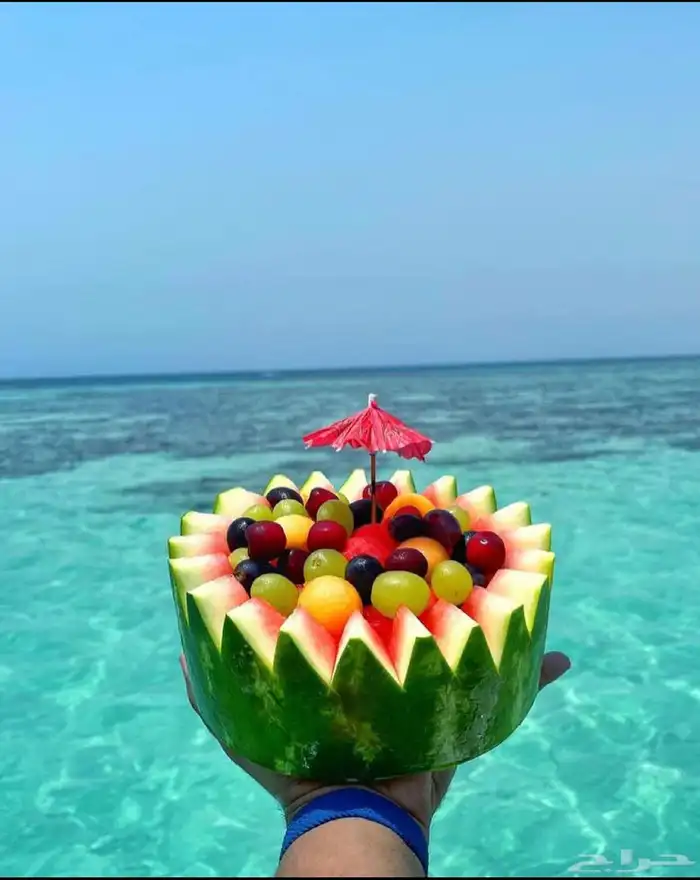 رحلات جزيرة بياضة 2