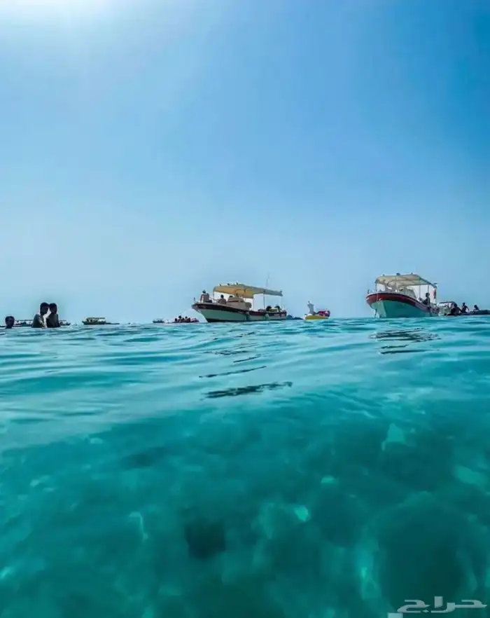 رحلات جزيرة بياضة 0