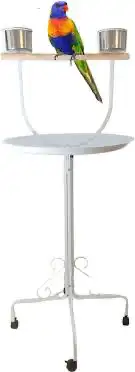 اكل كاسكو حامل الطيور مجاثم زوبريم فواكه 18