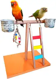 اكل كاسكو حامل الطيور مجاثم زوبريم فواكه 15