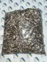 اكل كاسكو حامل الطيور مجاثم زوبريم فواكه 8