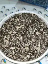 اكل كاسكو حامل الطيور مجاثم زوبريم فواكه 5