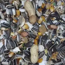 اكل كاسكو حامل الطيور مجاثم زوبريم فواكه 10