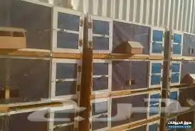 للبيع شبك بقلاوه حمام دجاج طيور عشه قفص مطير 53