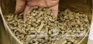 مستلزمات ارانب الهامستر هامستر 6