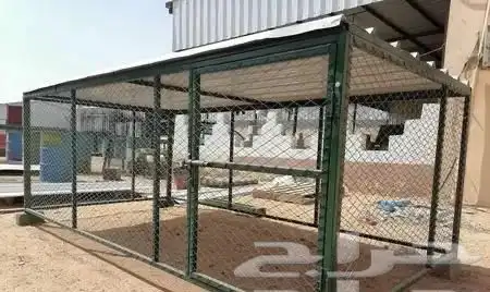 للبيع شبك بقلاوه حمام دجاج طيور عشه قفص مطير 50