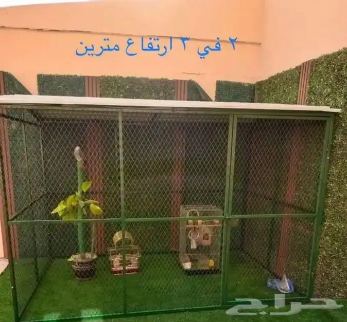للبيع شبك بقلاوه حمام دجاج طيور عشه قفص مطير 23