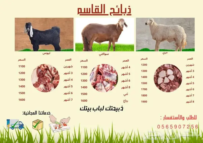 طليان سواكني حري و تيوس مع خدمة التوصيل 0