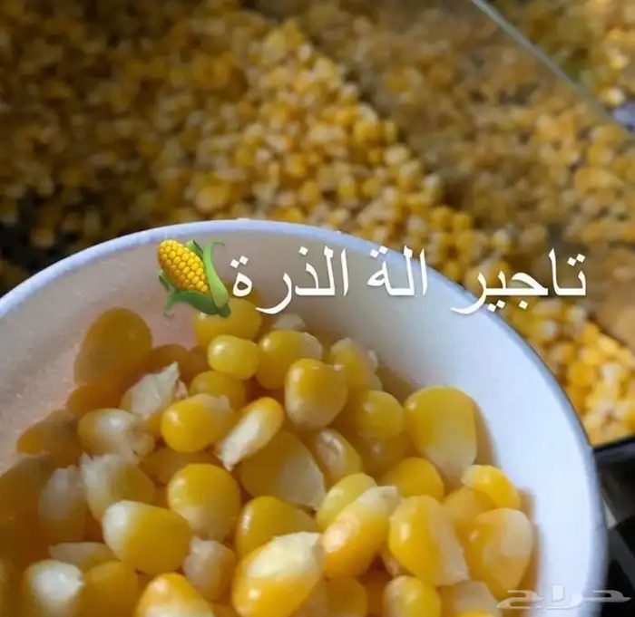 مهرجه اسيل لحفلات الاطفال 1