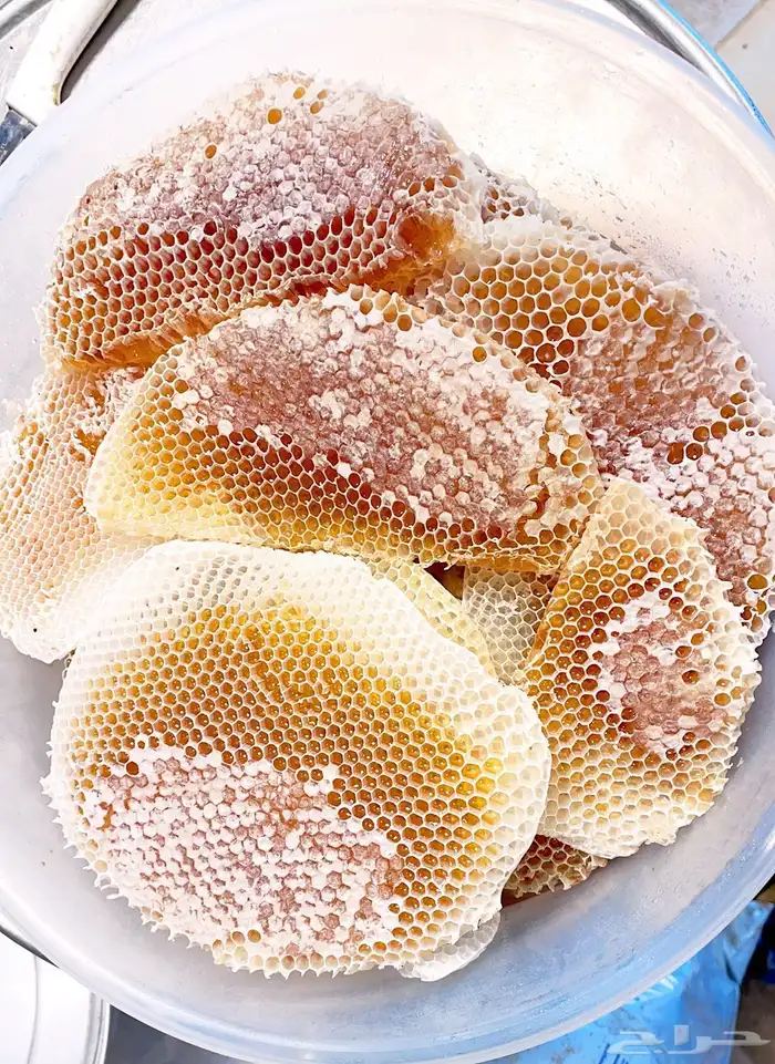 عسل من منحلي سمر وطلح وسدر وغذاء الملكات وحبوب اللقاح 6