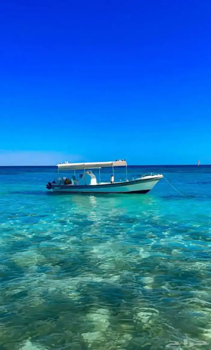 رحلات بحرية 1