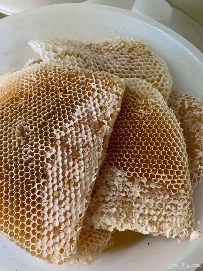 عسل من منحلي سمر وطلح وسدر وغذاء الملكات وحبوب اللقاح 7