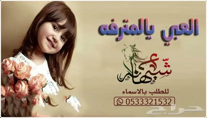 منشد شيلات شاعر جزل 0