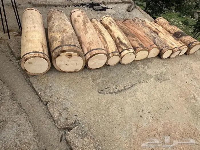 خلايا بلدي 3