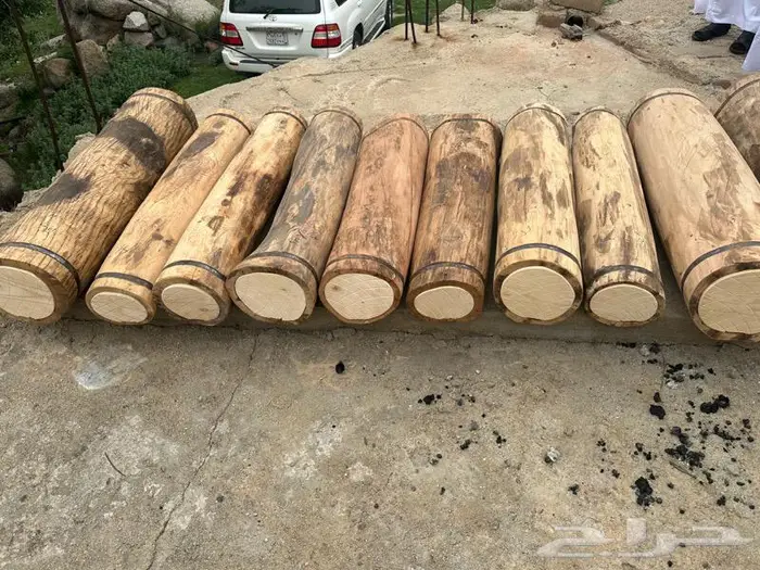 خلايا بلدي 2